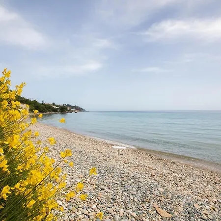 Spacious Seafront Villa, Ideal For Secluded Relaxation Holiday home *